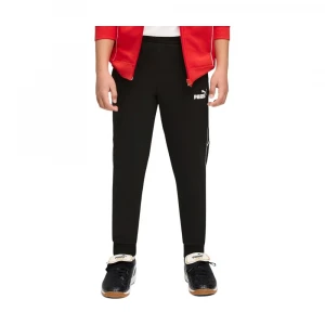 Штаны Puma Sport Sweatpants Youth