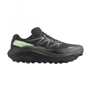 Кроссовки Salomon Shoes Ultra Flow 2 Gore-Tex