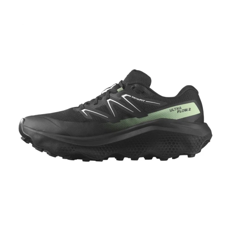 Кроссовки Salomon Shoes Ultra Flow 2 Gore-Tex 1