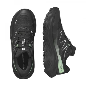 Кроссовки Salomon Shoes Ultra Flow 2 Gore-Tex 4