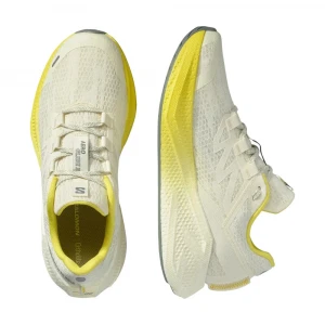 Кроссовки Salomon Shoes Aero Glide 4 2