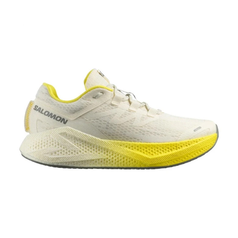 Кроссовки Salomon Shoes Aero Glide 4