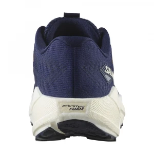 Кроссовки Salomon Shoes Aero Blaze 3 Grvl 4