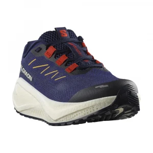Кроссовки Salomon Shoes Aero Blaze 3 Grvl 3