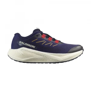 Кроссовки Salomon Shoes Aero Blaze 3 Grvl