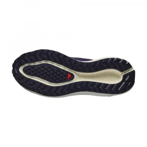 Кроссовки Salomon Shoes Aero Blaze 3 Grvl 5