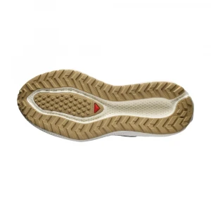 Кроссовки Salomon Shoes Aero Glide 3 Grvl 5