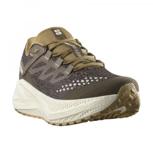 Кроссовки Salomon Shoes Aero Glide 3 Grvl 3
