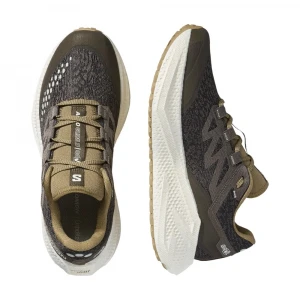 Кроссовки Salomon Shoes Aero Glide 3 Grvl 1