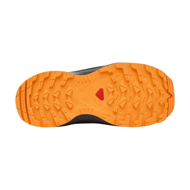 Кроссовки Salomon Shoes Xa Pro V8 Waterproof 5
