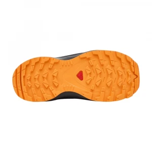 Кроссовки Salomon Shoes Xa Pro V8 Waterproof 5