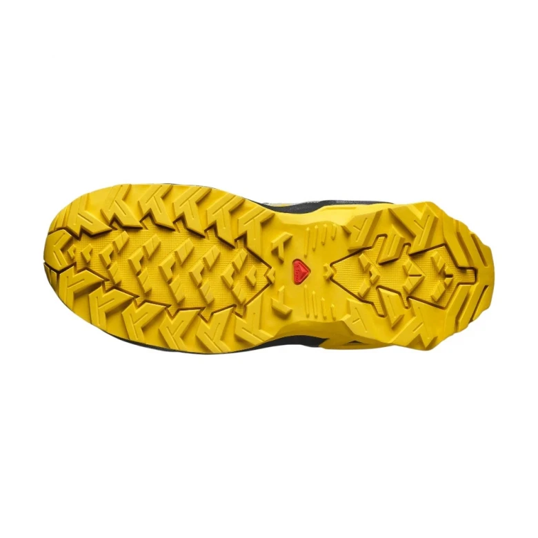 Ботинки Salomon Shoes X Ultra Mid Gore-Tex 5