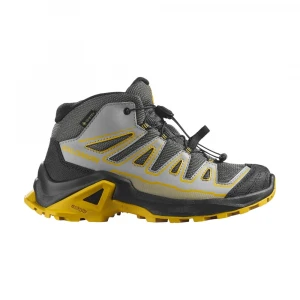 Ботинки Salomon Shoes X Ultra Mid Gore-Tex