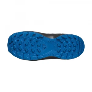 Ботинки Salomon Shoes Xa Pro V8 Mid Waterproof 5