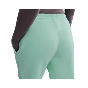 Sportswear Phoenix Fleece 1