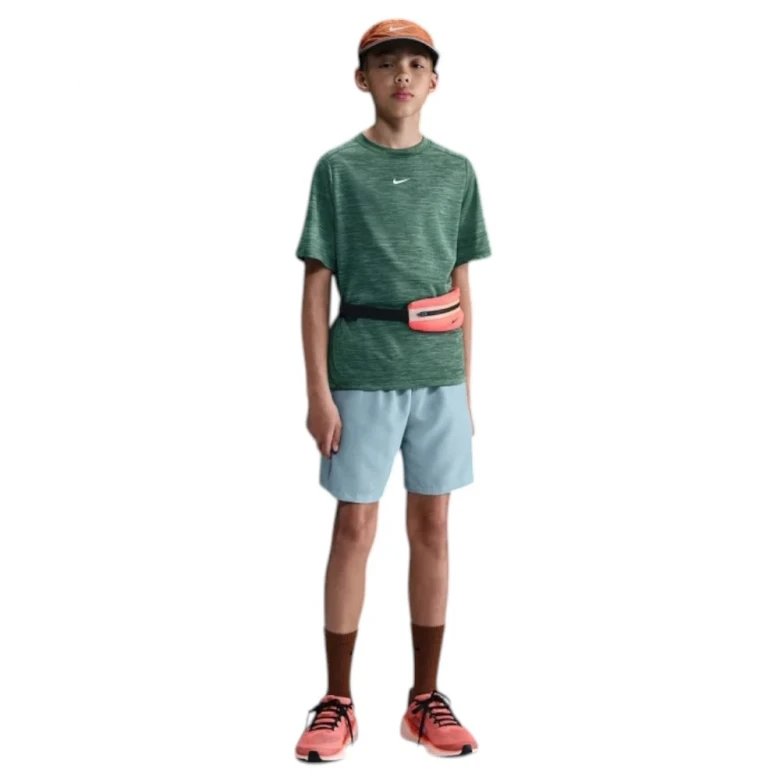 Футболка Nike Multi 3
