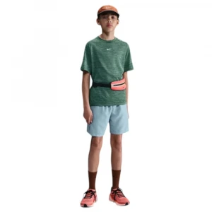 Футболка Nike Multi 3