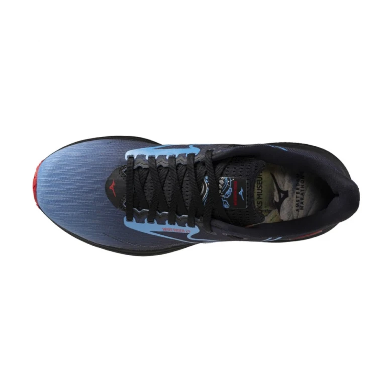 Кроссовки Mizuno Wave Rider 29 Amsterdam 2