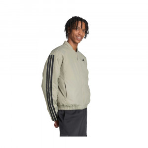 Essentials 2