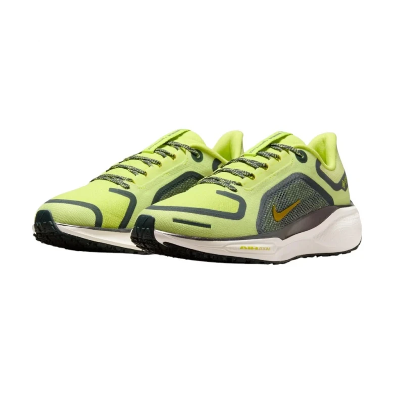 Pegasus 41 Gore-Tex 2