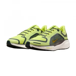 Pegasus 41 Gore-Tex 2
