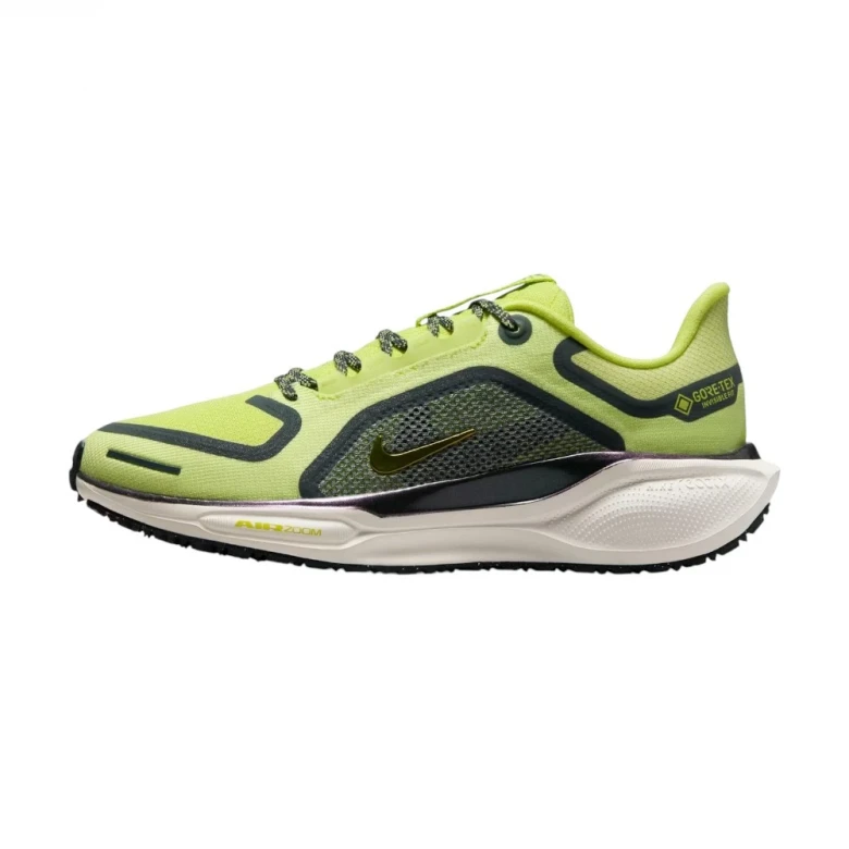 Pegasus 41 Gore-Tex 1