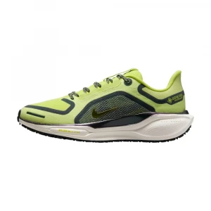 Pegasus 41 Gore-Tex 1