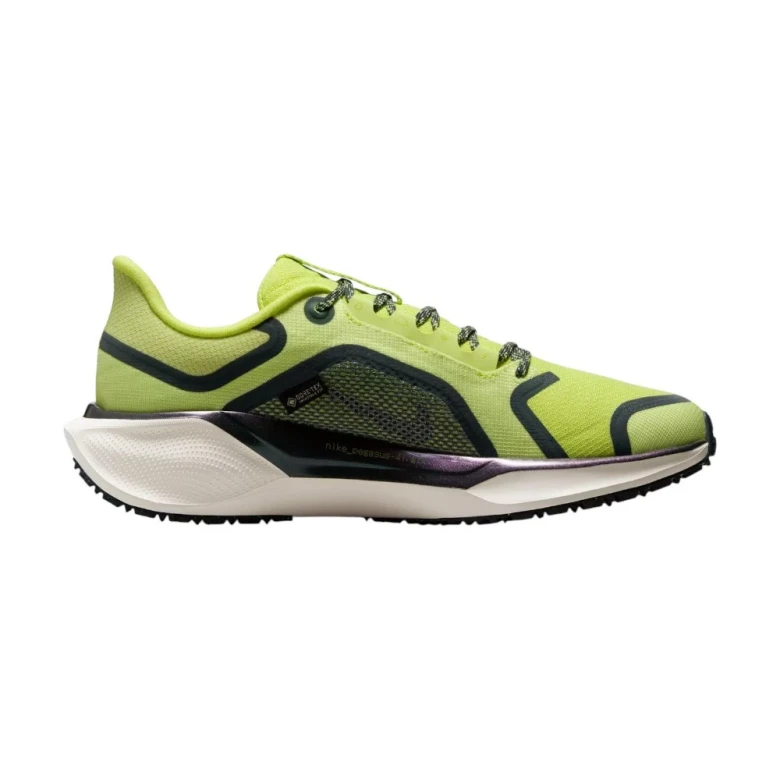 Pegasus 41 Gore-Tex
