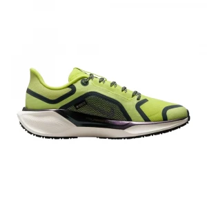 Pegasus 41 Gore-Tex