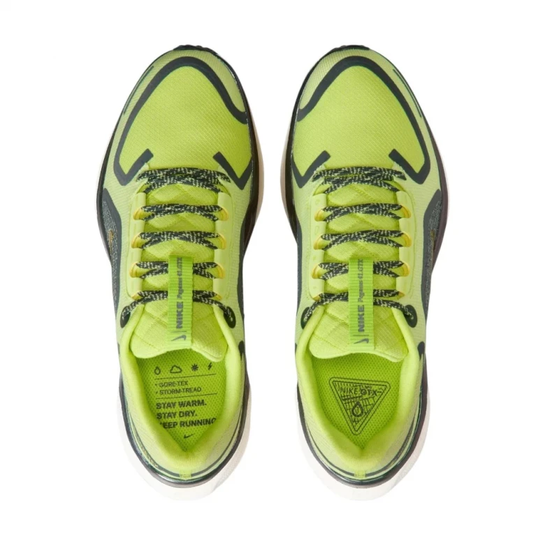 Pegasus 41 Gore-Tex 3