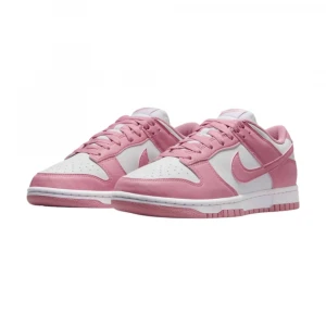 Dunk Low Next Nature 2