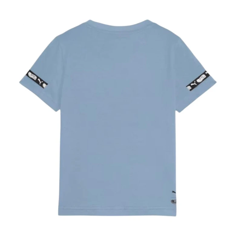 X Hot Wheels™ Monster Trucks 4