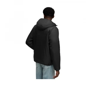 Essentials Light Padded 1