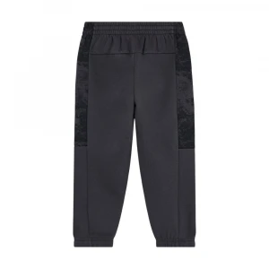 ASV Graphic Series 1