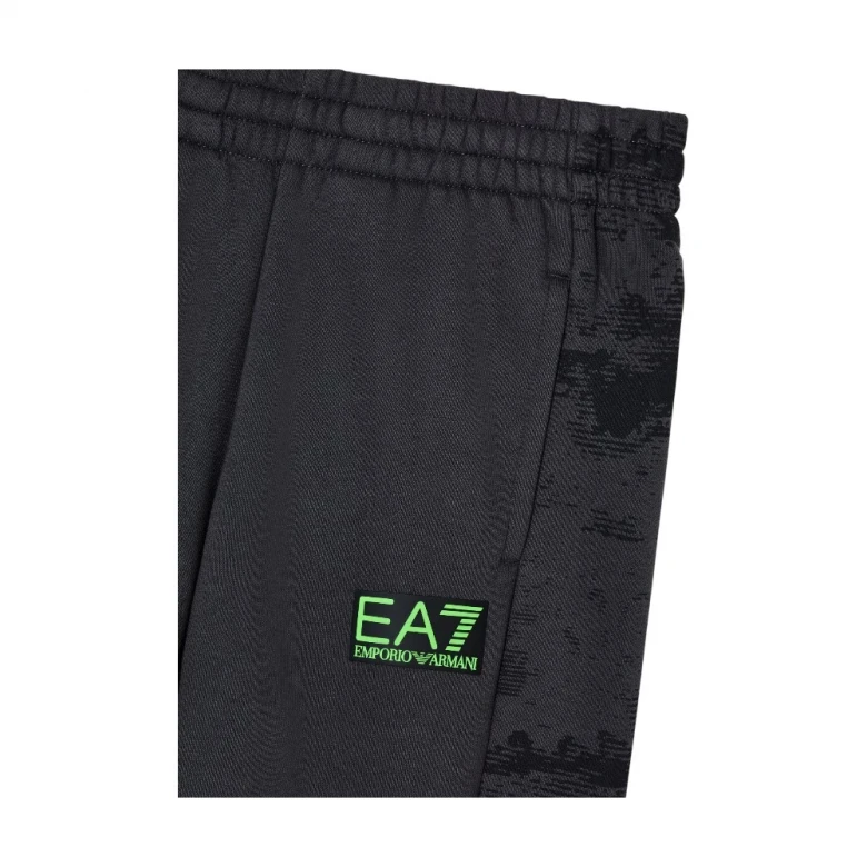 ASV Graphic Series 2