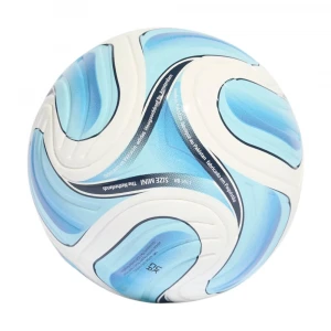 Trionda Argentina Home Mini 0