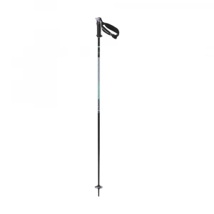 Poles Polar Pro S3