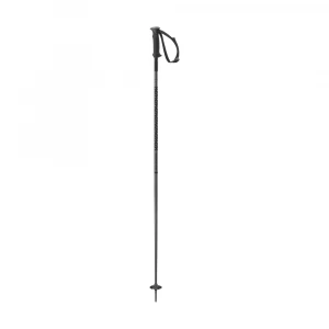 Poles Polar Prime Ergo S3