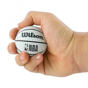Мяч Wilson Nba Dribbler Hi Bounce 2