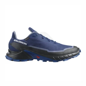 кроссовки shoes alphacross 5 gtx bluepr/lapis/wht