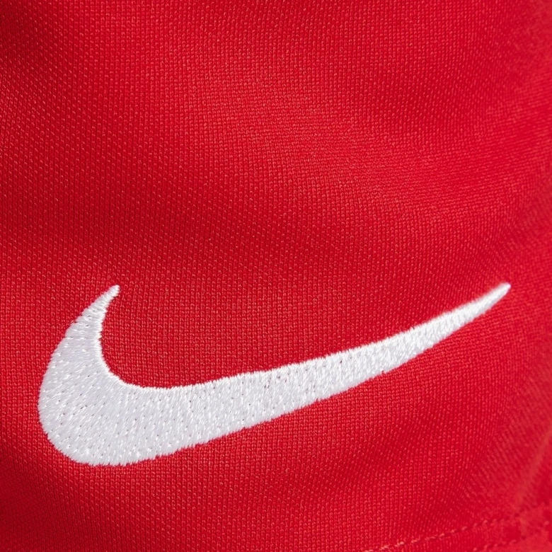 шорты y nk dry park iii short nb k 4