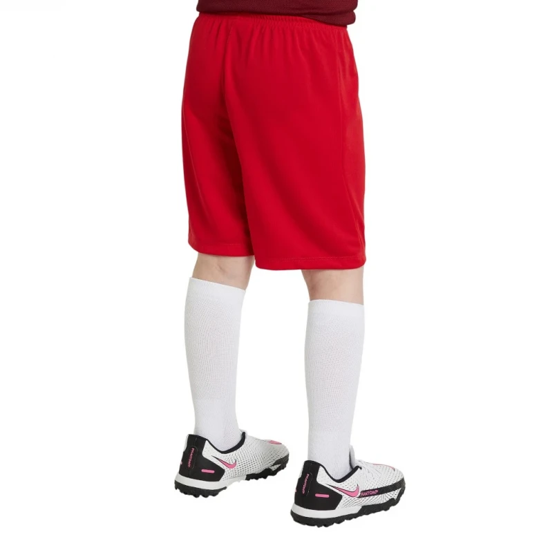 шорты y nk dry park iii short nb k 1