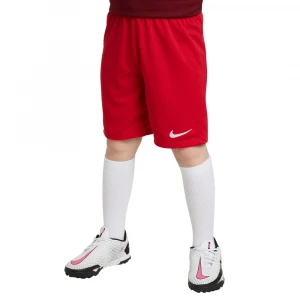 шорты y nk dry park iii short nb k