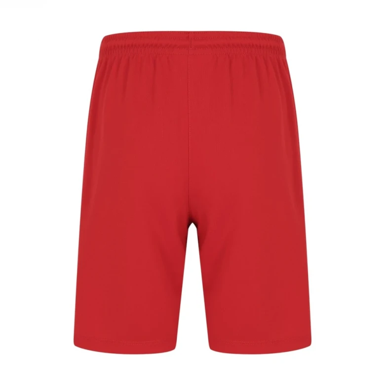 шорты y nk dry park iii short nb k 6