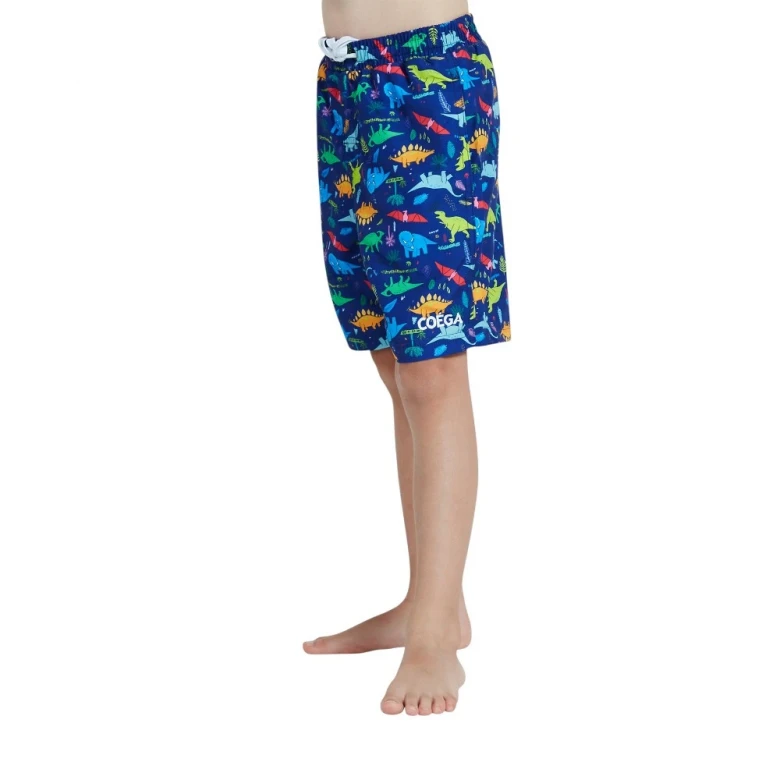шорты для плавания boardshorts elast wst-aop (boys) 2