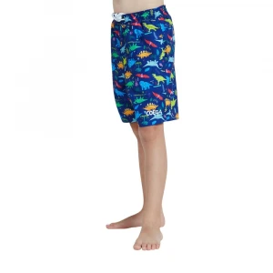шорты для плавания boardshorts elast wst-aop (boys) 2