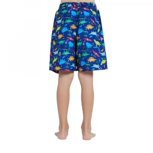 шорты для плавания boardshorts elast wst-aop (boys) 1