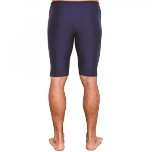 трессы для плавания swim shorts (mens) 1