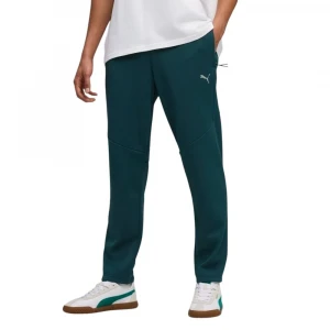 Evostripe Warm Pants