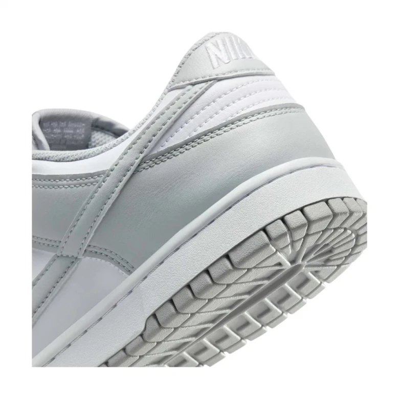 Dunk Low Retro Soft 5